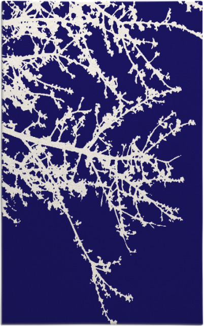 spruce rug - item 493716