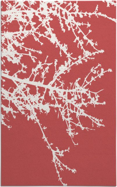 spruce rug - item 493831