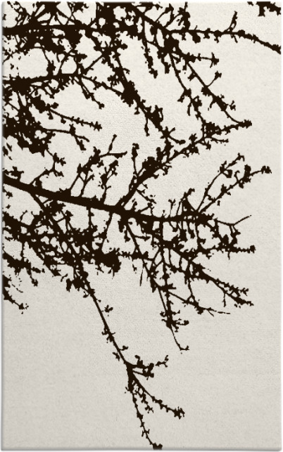 spruce rug - item 493905