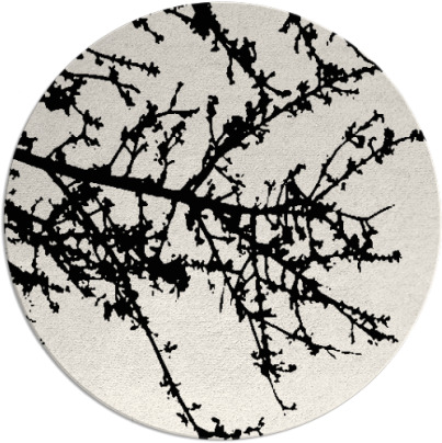 spruce rug - item 493966