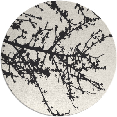 spruce rug - item 493968