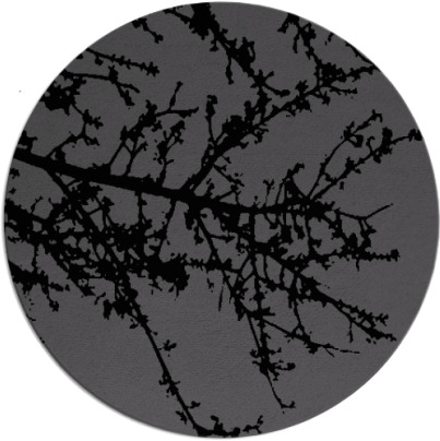 spruce rug - item 493970