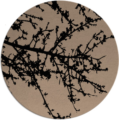 spruce rug - item 493974