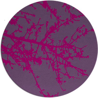 spruce rug - item 493991