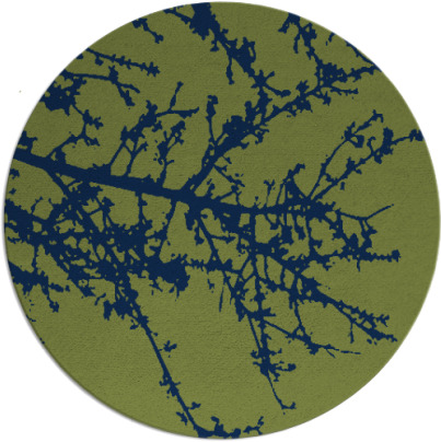 spruce rug - item 493998