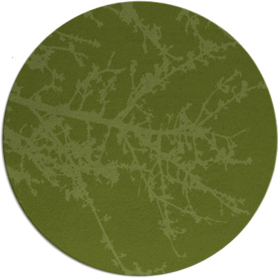 spruce rug - item 493999