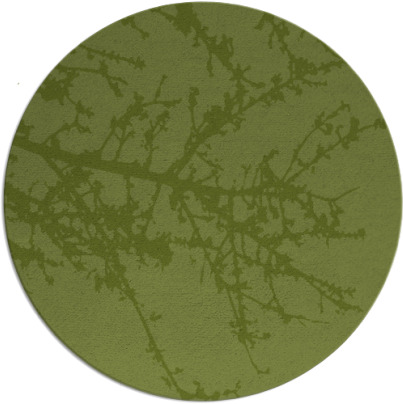 spruce rug - item 494000
