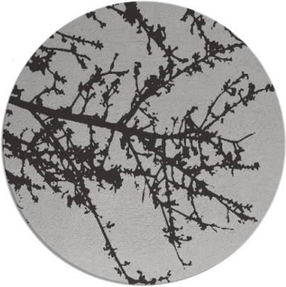 spruce rug - item 494005