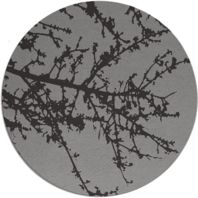 spruce rug - item 494007