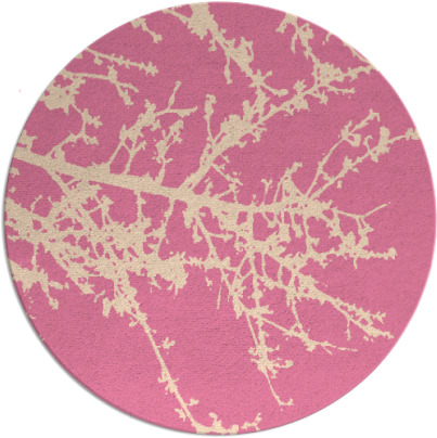 spruce rug - item 494010