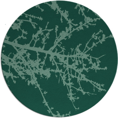 spruce rug - item 494019