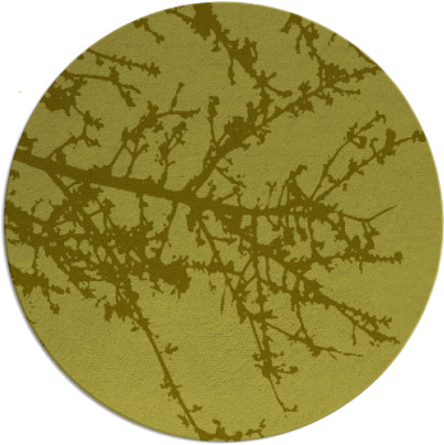 spruce rug - item 494023