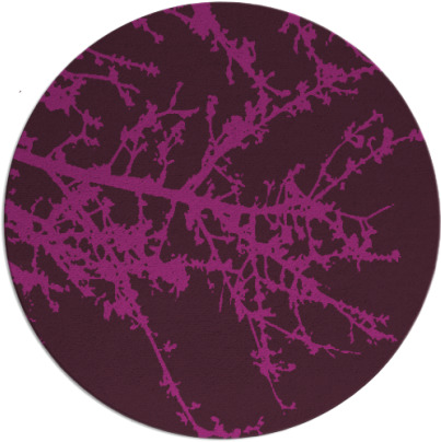 spruce rug - item 494027