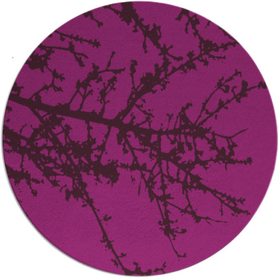 spruce rug - item 494028