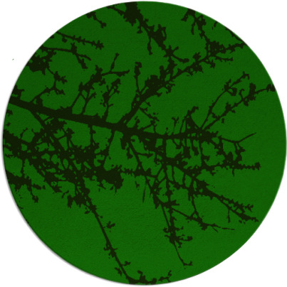 spruce rug - item 494029