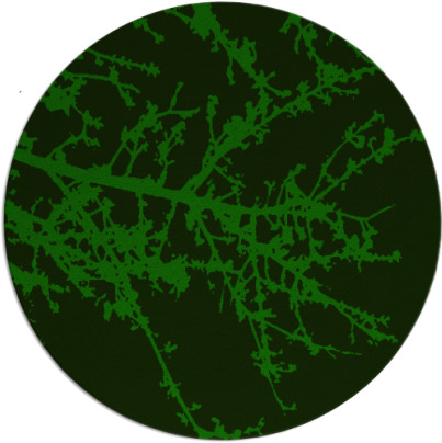 spruce rug - item 494030