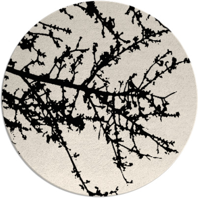 spruce rug - item 494037