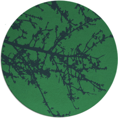 spruce rug - item 494043