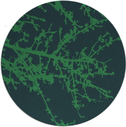 spruce rug - item 494044