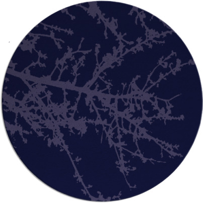 spruce rug - item 494045