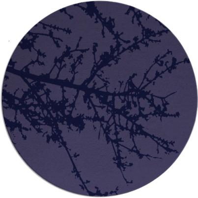 spruce rug - item 494046