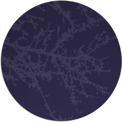 spruce rug - item 494047