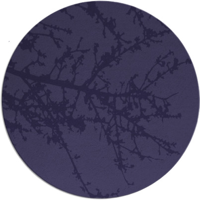 spruce rug - item 494048