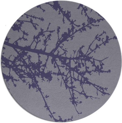 spruce rug - item 494049