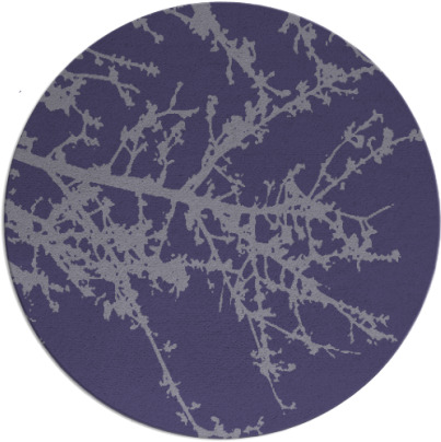 spruce rug - item 494050