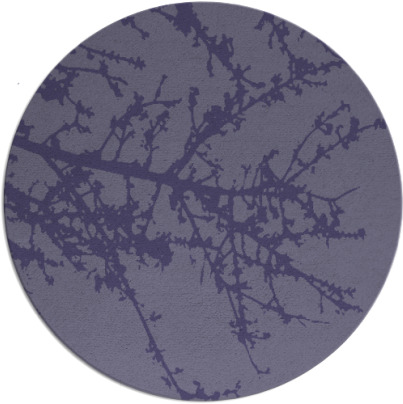 spruce rug - item 494051