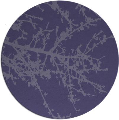 spruce rug - item 494052