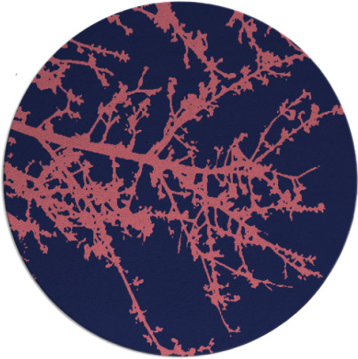 spruce rug - item 494053