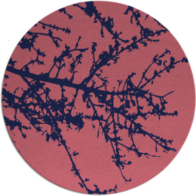 spruce rug - item 494054