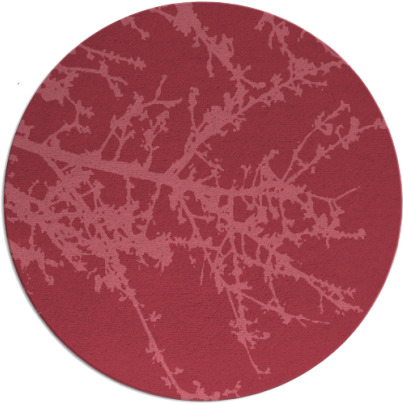 spruce rug - item 494055