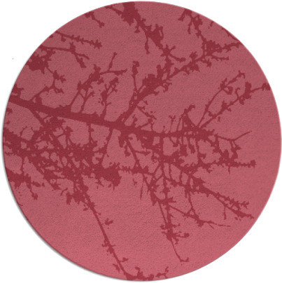 spruce rug - item 494056