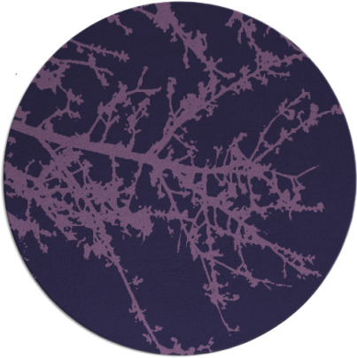 spruce rug - item 494057