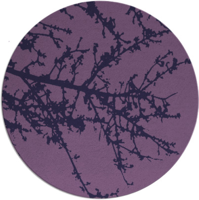 spruce rug - item 494058