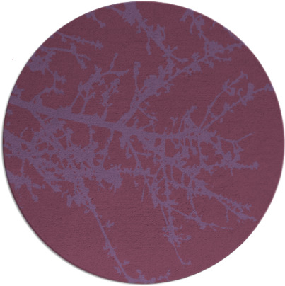 spruce rug - item 494059