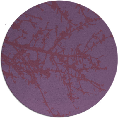 spruce rug - item 494060