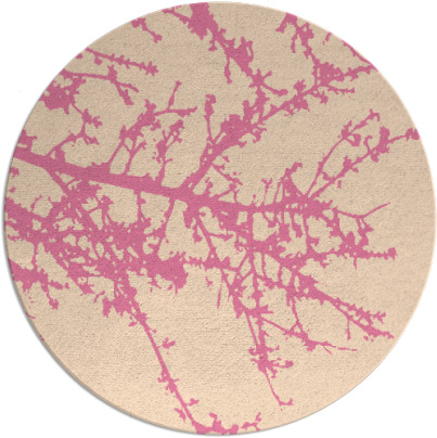 spruce rug - item 494062