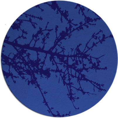 spruce rug - item 494065