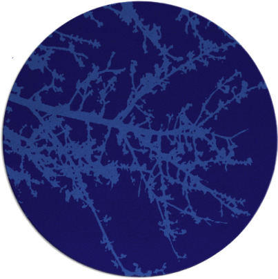 spruce rug - item 494066