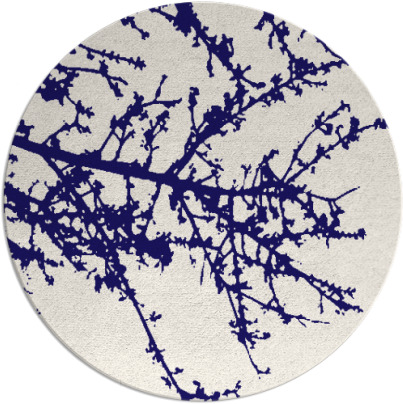 spruce rug - item 494067