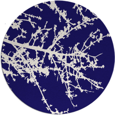 spruce rug - item 494068