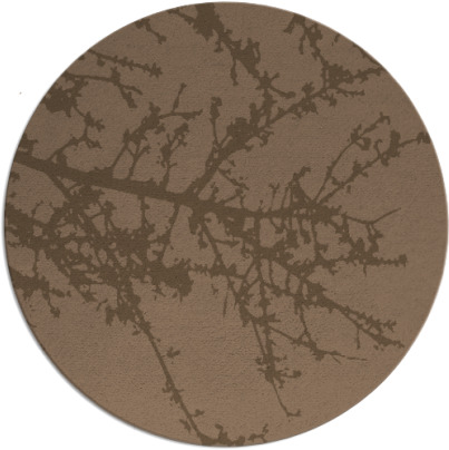 spruce rug - item 494072