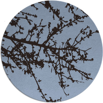 spruce rug - item 494076