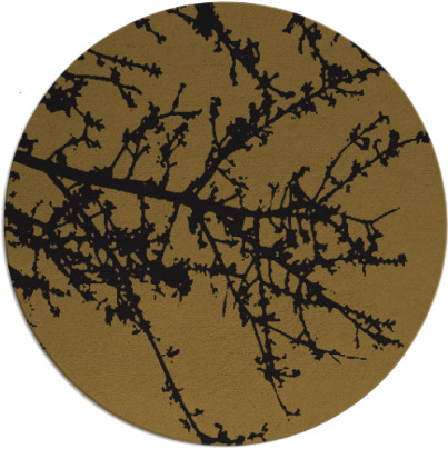 spruce rug - item 494078