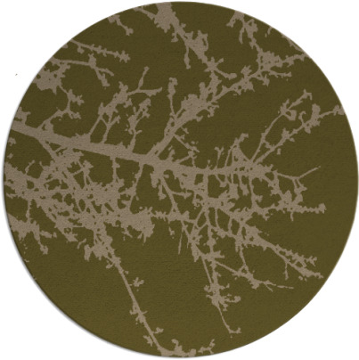 spruce rug - item 494081