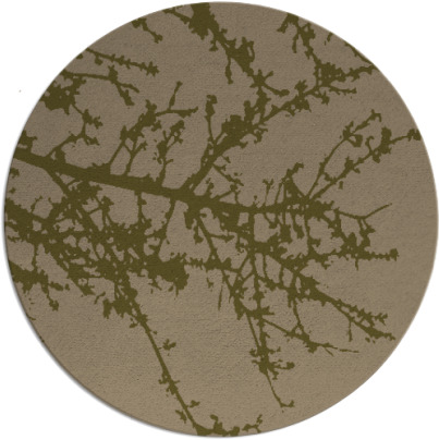 spruce rug - item 494082