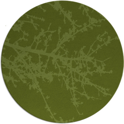 spruce rug - item 494085